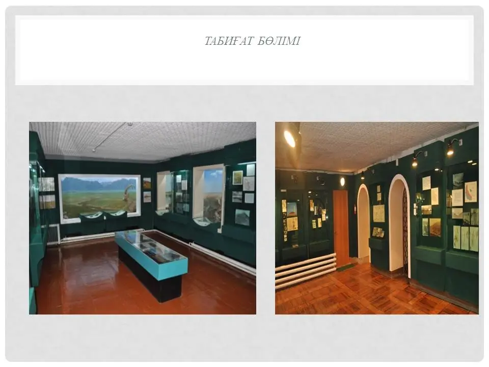 Абай облысының мәдениет, тілдерді дамыту және архив ісі басқармасының „Ақсуат тарихи-өлкетану музейі„ КМҚК